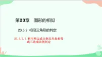 初中数学华东师大版（2024）九年级上册2. 相似三角形的判定集体备课ppt课件