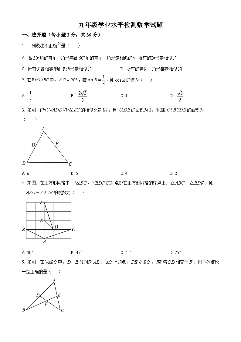 山东省聊城市莘县翔宇学校2024-2025学年九年级上学期10月月考数学试题01