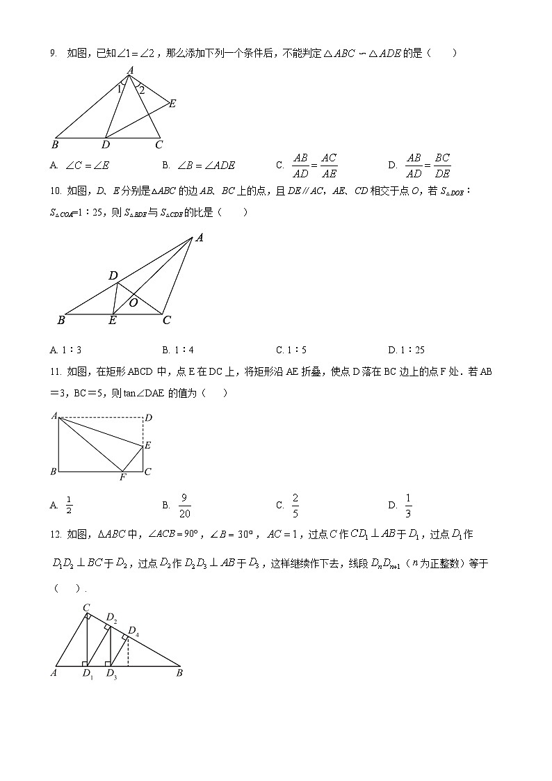 山东省聊城市莘县翔宇学校2024-2025学年九年级上学期10月月考数学试题03