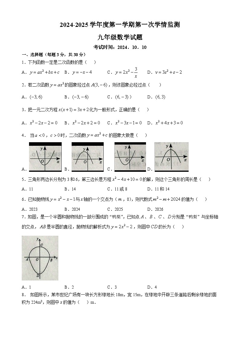 山东省济宁市金乡县2024-2025学年九年级上学期10月月考数学试题(无答案)第1页