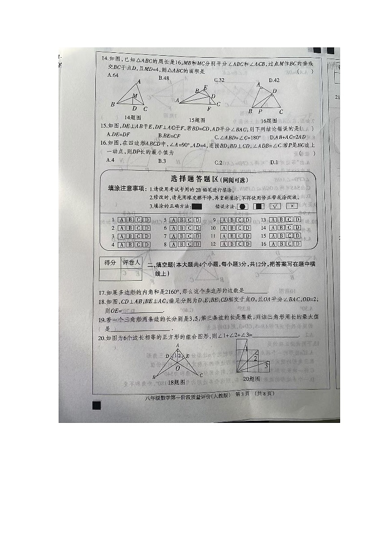 河北省沧州市东光县东光县五校联考2024-—2025学年八年级上学期10月月考数学试题03