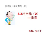 数学七年级上册（2024）6.3 相交线集体备课课件ppt