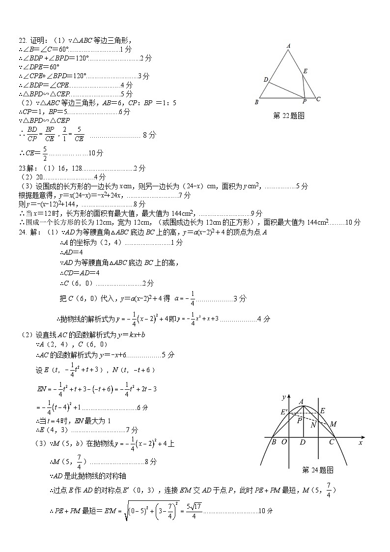 C-23秋九上数学 期末文化素质检测 参考答案第2页