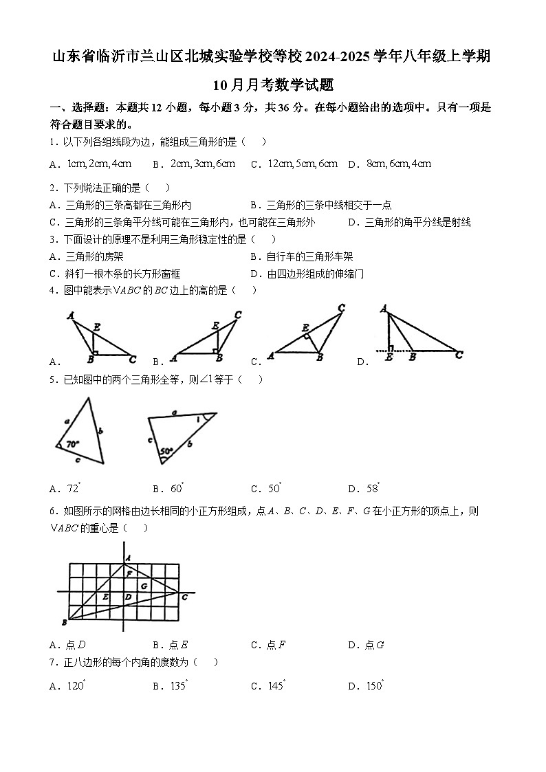 山东省临沂市兰山区北城实验学校等校2024-2025学年八年级上学期10月月考数学试题(无答案)01