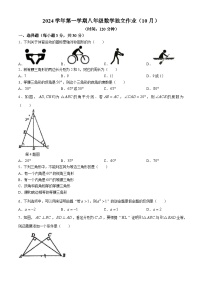 浙江省杭州学军中学教育集团文渊中学2024--2025学年八年级上学期10月份数学月考卷(无答案)