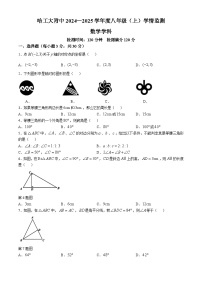 黑龙江省哈尔滨市工业大学附属中学2024-2025学年八年级上学期10月月考数学试卷(无答案)