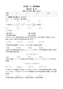 河南省焦作市山阳区河南理工大学附属中学2024-2025学年七年级上学期10月月考数学试题