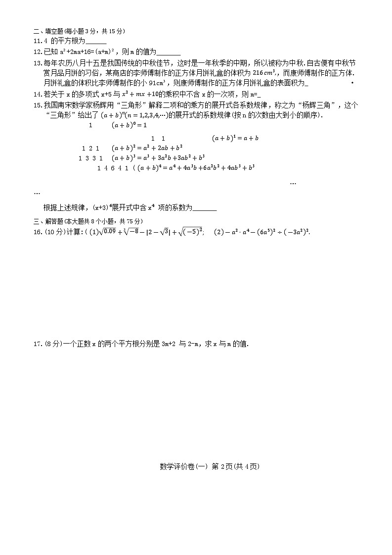 河南省南阳市南召县2024-2025学年八年级上学期10月月考数学试题02