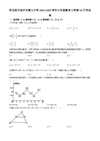 河北省石家庄市第九中学2024-2025学年九年级数学上学期10月考试卷(无答案)