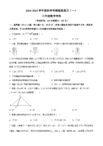 南宁市第三中学2024-2025学年八年级上学期10月月考数学试题(原卷版)