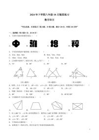 湖南省长沙市中雅中学2024-2025学年八年级上学期第一次月考数学试卷