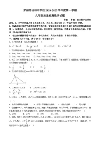 广东省深圳市罗湖外语初中学校2024—2025学年上学期九年级10月月考数学试卷