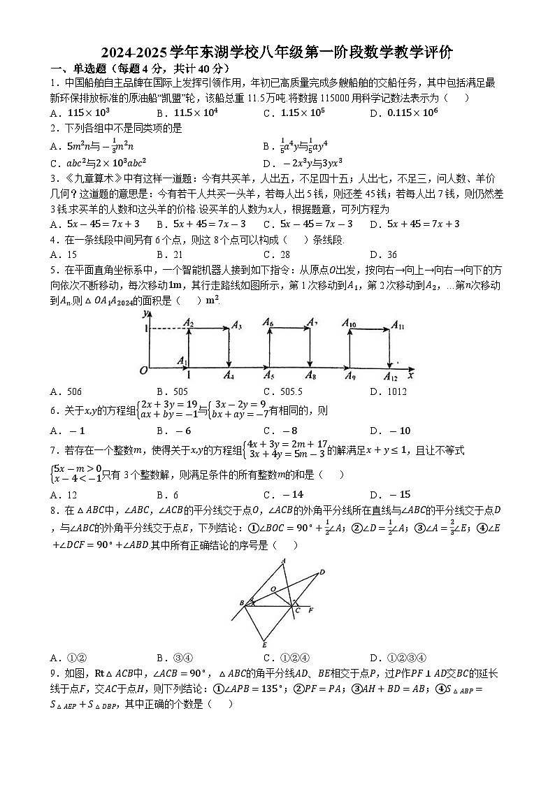 安徽省芜湖市东湖学校2024-2025学年八年级上学期10月月考数学试卷(无答案)01