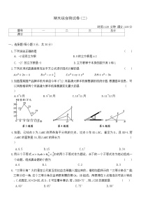 2024-2025学年华东师大版数学八年级上册   期末综合测试卷(二)