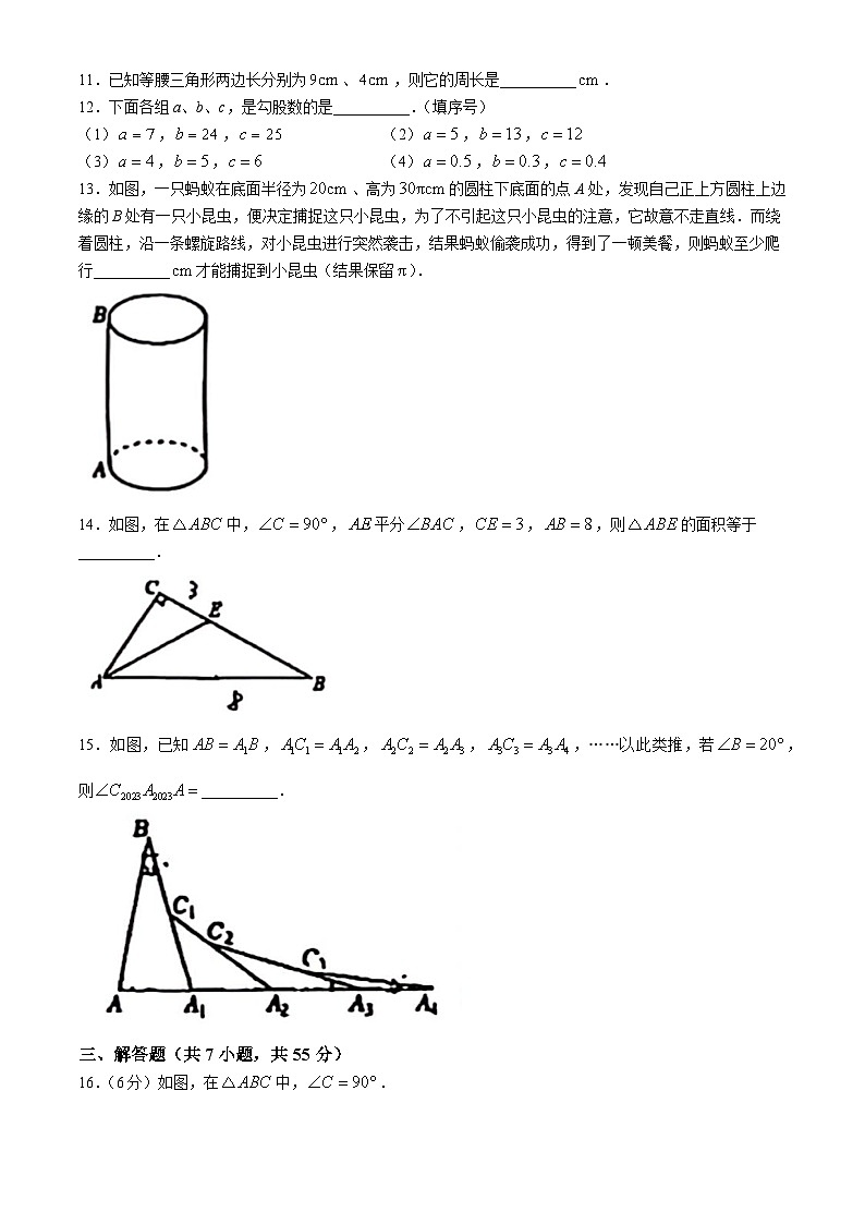 山东省济宁市任城区2023-2024学年八年级上学期数学期中试卷(无答案)03