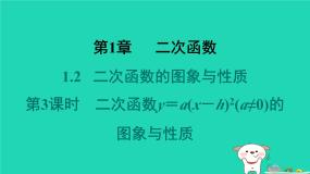 初中数学湘教版（2024）九年级下册1.1 二次函数习题课件ppt