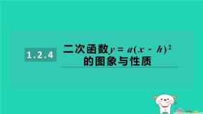 初中数学湘教版（2024）九年级下册1.1 二次函数习题ppt课件