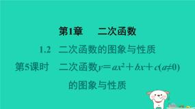 湘教版（2024）九年级下册1.1 二次函数习题ppt课件