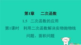 湘教版（2024）九年级下册第1章 二次函数1.1 二次函数习题ppt课件