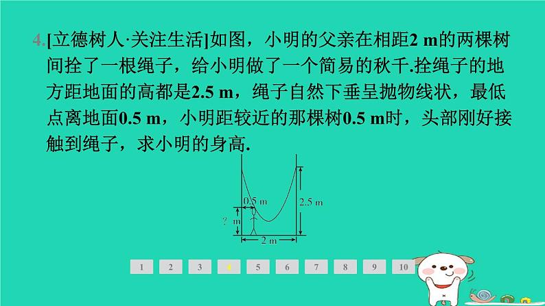 2024九年级数学下册第1章二次函数1.5二次函数的应用1.5.1利用二次函数解决实物抛物线问题面积问题习题课件新版湘教版第7页