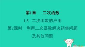 初中数学湘教版（2024）九年级下册1.1 二次函数习题课件ppt
