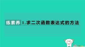 初中数学湘教版（2024）九年级下册1.1 二次函数习题ppt课件