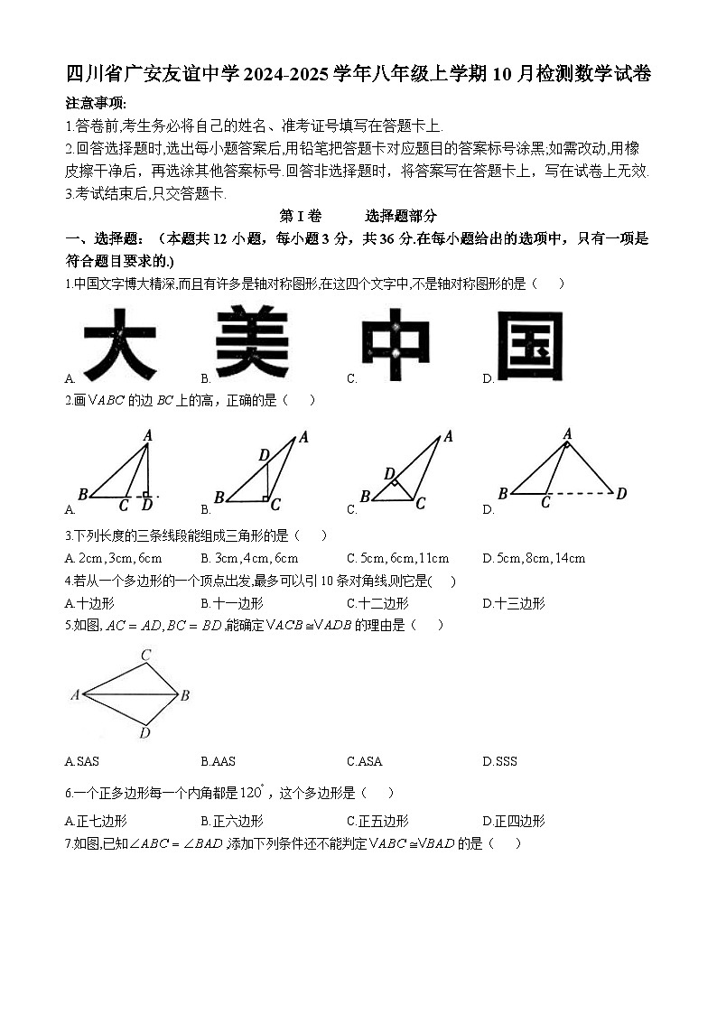 四川省广安友谊中学2024-2025学年八年级上学期10月检测数学试卷(无答案)01