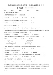2024-2025学年广东省汕尾市陆丰市九年级(上）月考数学试卷