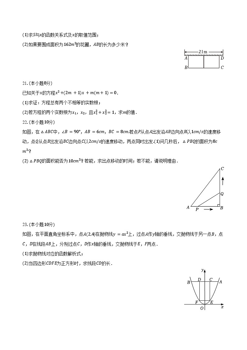 2024-2025学年福建省莆田二十五中九年级(上)第一次月考数学试卷(含答案)03