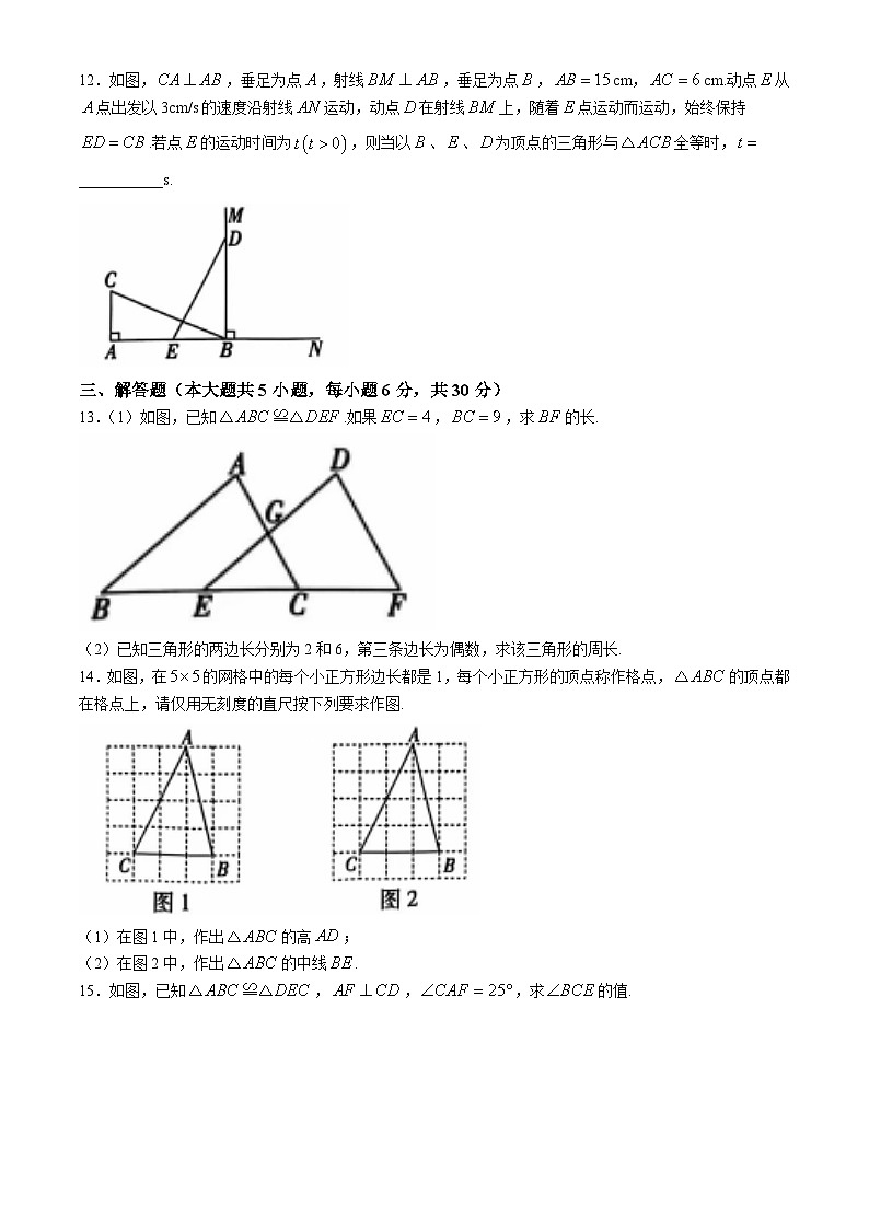 江西上饶市玉山县紫湖初级中学2024-2025学年 上学期八年级数学阶段考试卷(10月)(无答案)第3页