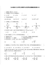 黑龙江省哈尔滨市第四十九中学校2024-2025学年九年级上学期10月测试数学试题