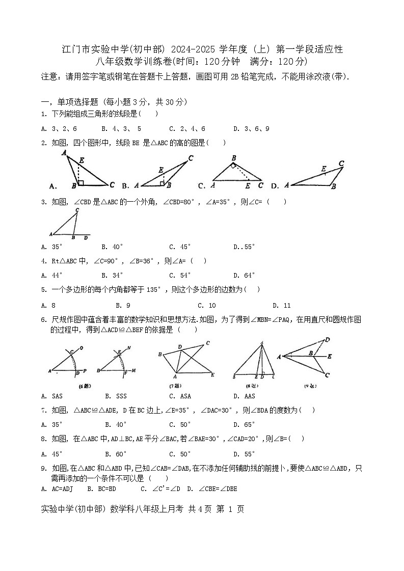 广东省江门市实验中学(初中部)2024—-2025学年八年级上学期第一次月考数学试题01