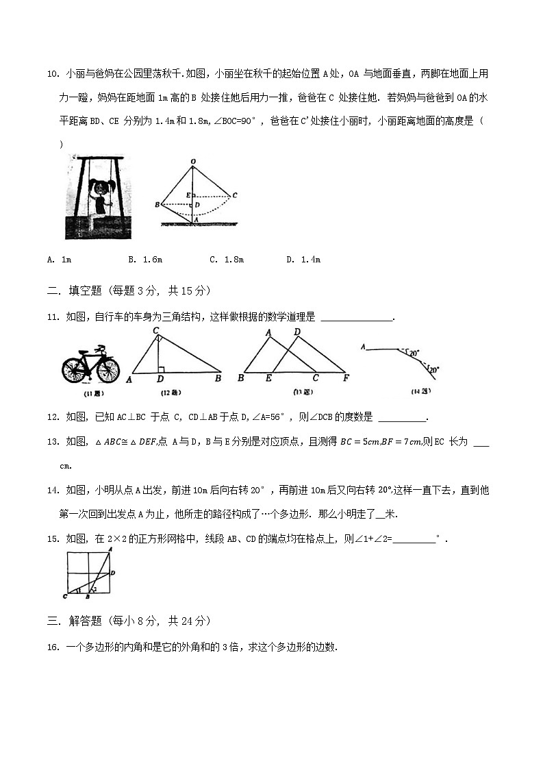 广东省江门市实验中学(初中部)2024—-2025学年八年级上学期第一次月考数学试题02