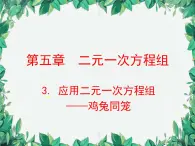 5.3 应用二元一次方程组-鸡兔同笼 北师大版八年级数学上册课件