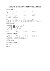 数学八年级上册4.1 平方根精练