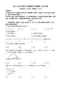 四川省达州市渠县中学2024-2025学年八年级上学期10月月考数学试题(无答案)