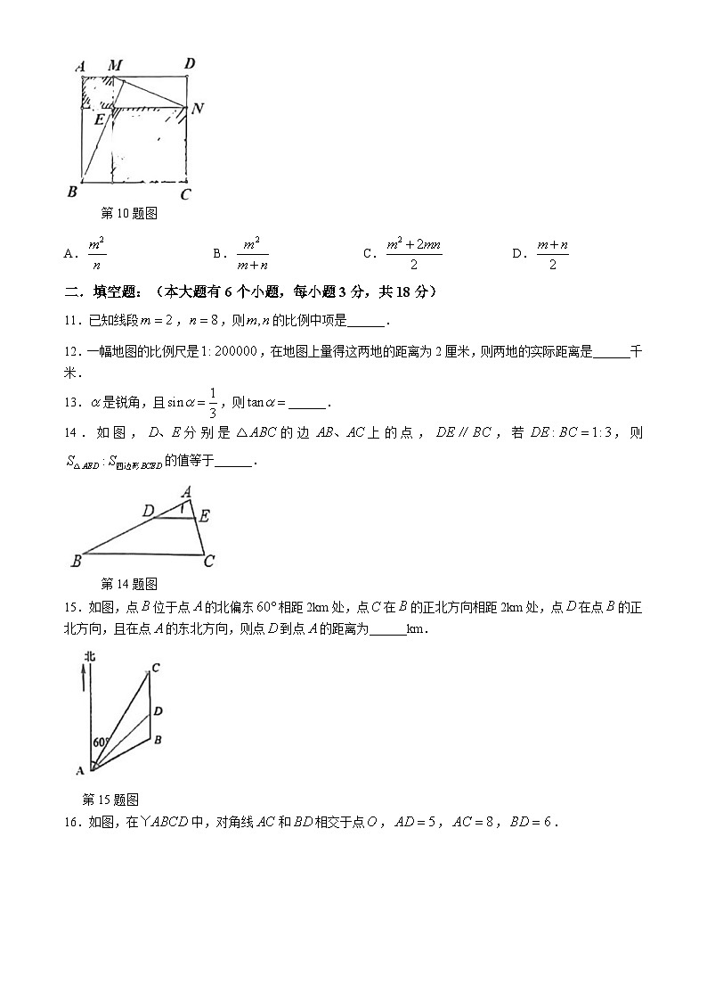 浙江省杭州市之江实验中学2024-2025学年九年级上学期10月月考数学试题(无答案)第3页