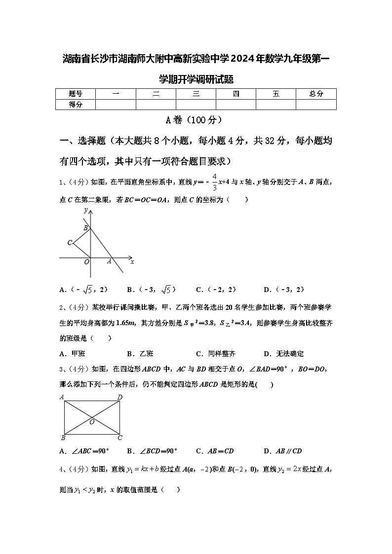 湖南省长沙市湖南师大附中高新实验中学2024年数学九年级第一学期开学调研试题【含答案】第1页