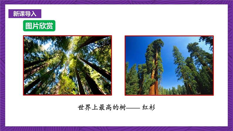 沪科版数学九上 22.5 《综合与实践 测量与误差》 课件第3页