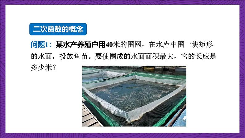 沪科版数学九上 21.1《 二次函数》 课件第6页