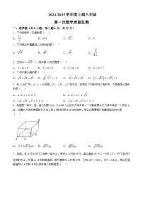2024-—2025学年四川省成都市双流区八年级（上）10月月考数学试题(无答案)