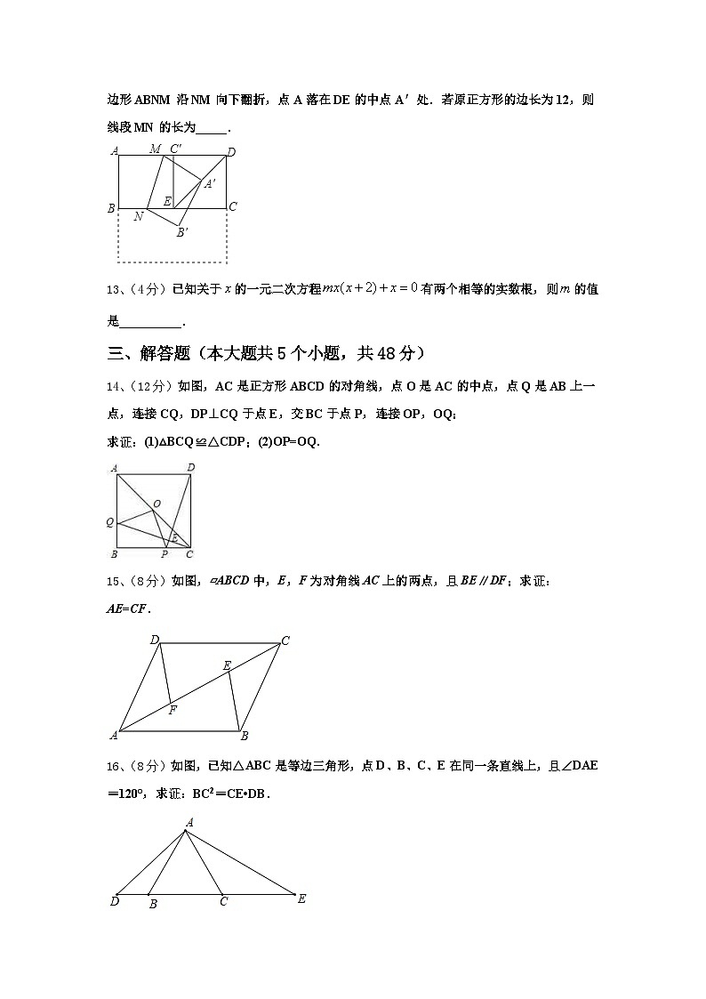 江西省吉安市泰和县2024-2025学年数学九年级第一学期开学质量跟踪监视试题【含答案】第3页