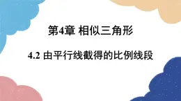 4.2 由平行线截得的比例线段 浙教版数学九年级上册课件