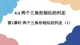 4.4 两个三角形相似的判定第1课时 两个三角形相似的判定（1）浙教版数学九年级上册课件