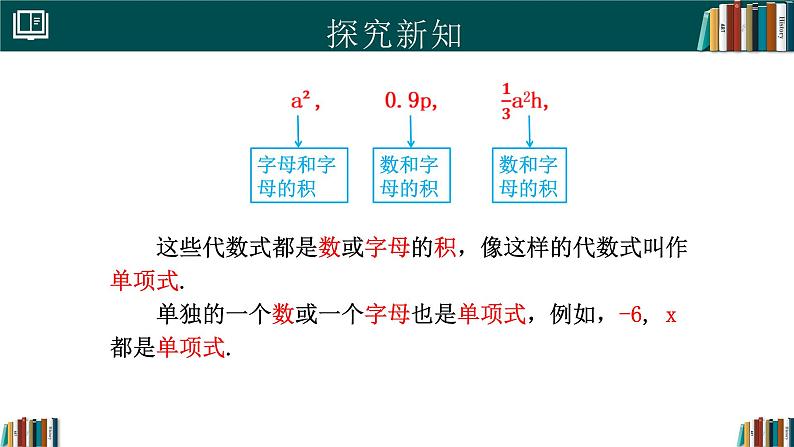 七年级数学上册同步 (人教版2024)4.1整式(第1课时)课件+同步练习含解析第5页