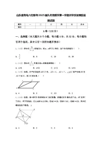 山东省青岛六校联考2025届九年级数学第一学期开学质量跟踪监视试题【含答案】
