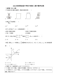 广东省深圳市深圳实验中学中学部2024-2025学年九年级上学期期中数学试卷