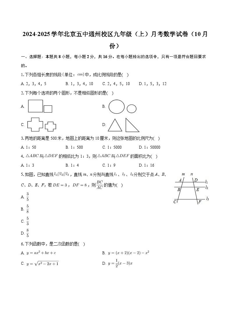 组织 北京市第五中学通州校区2024—2025学年上学期九年级10月月考数学试卷第1页