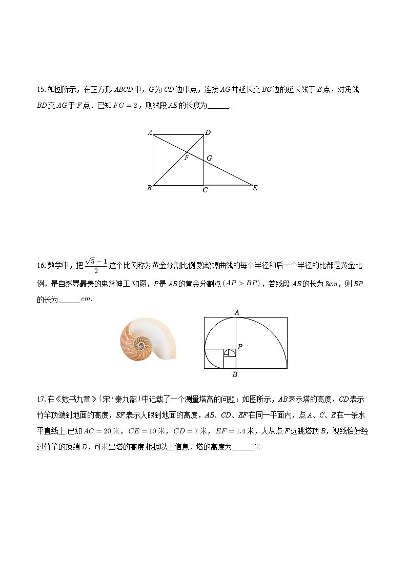 组织 北京市第五中学通州校区2024—2025学年上学期九年级10月月考数学试卷第3页