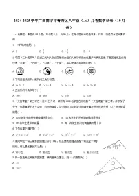 广西南宁市青秀区2024-2025学年八年级上学期月考数学试卷（10月份）